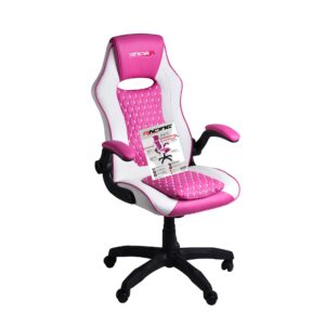 Herná stolička GAMING CHAIR PRO RACING BG BGEU-A135P - bielo/ružová